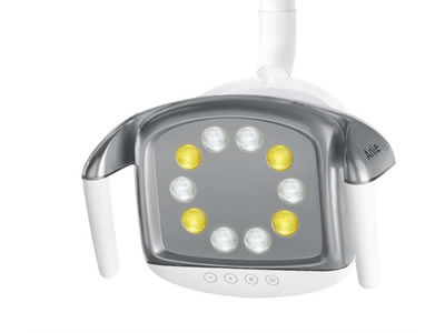 10 bulbs LED dental light